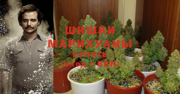 индика Кодинск