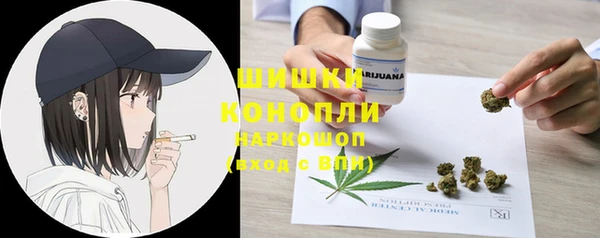 индика Кодинск