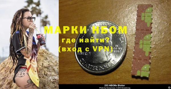 индика Кодинск