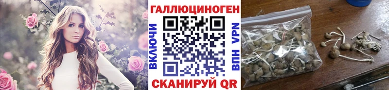 Псилоцибиновые грибы прущие грибы даркнет сайт маркетплейс формула Норильск