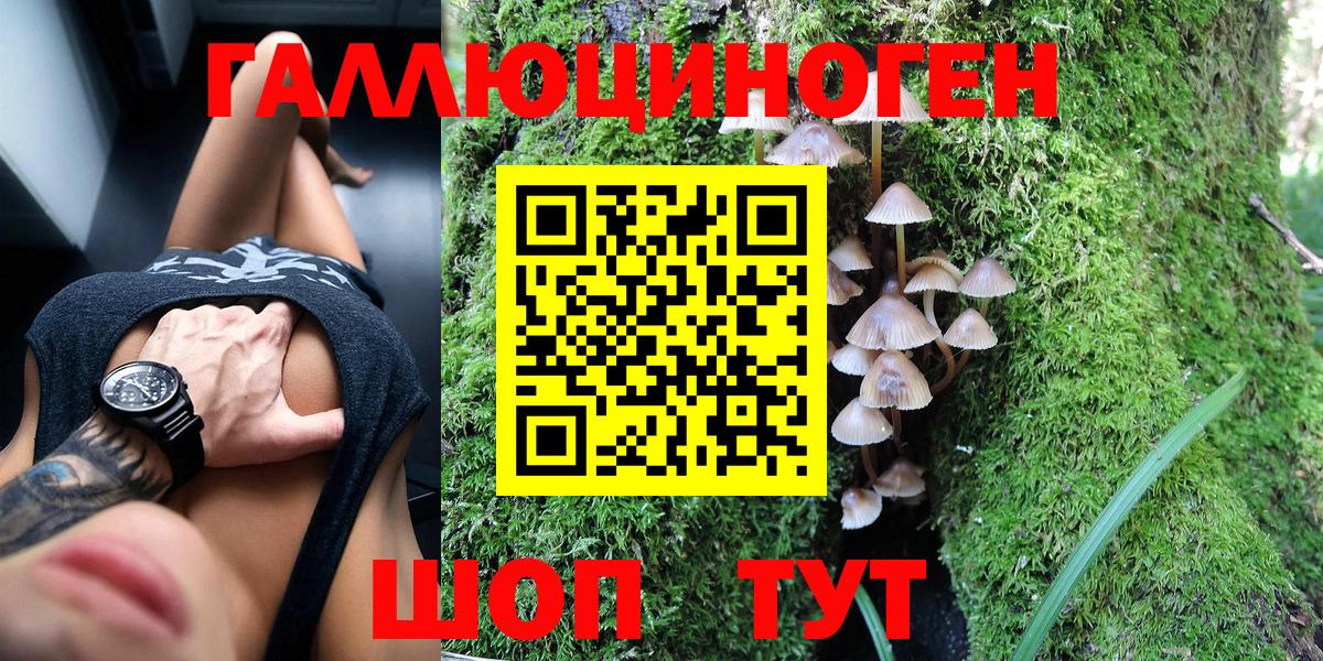 Галлюциногенные грибы мицелий Норильск